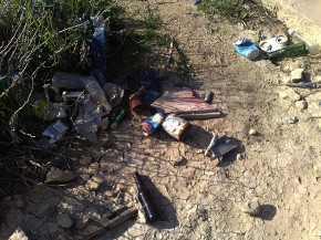 Cans and bottles in Pembroke