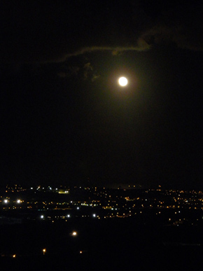 View from Mdina